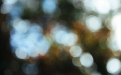 Rent Credits in a Commercial Lease: An FAQ Guide